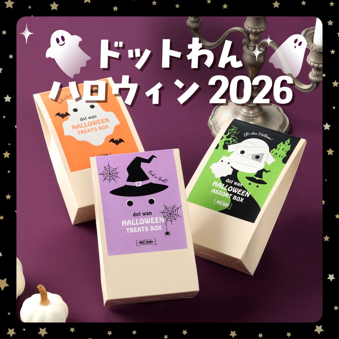 鶏ごはん3kgパック｜自然食ドッグフードのドットわん｜公式通販サイト