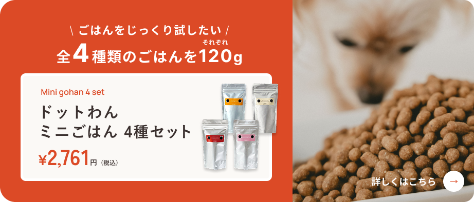 ドットわん｜自然食ドッグフードの公式通販｜お試しセットあり