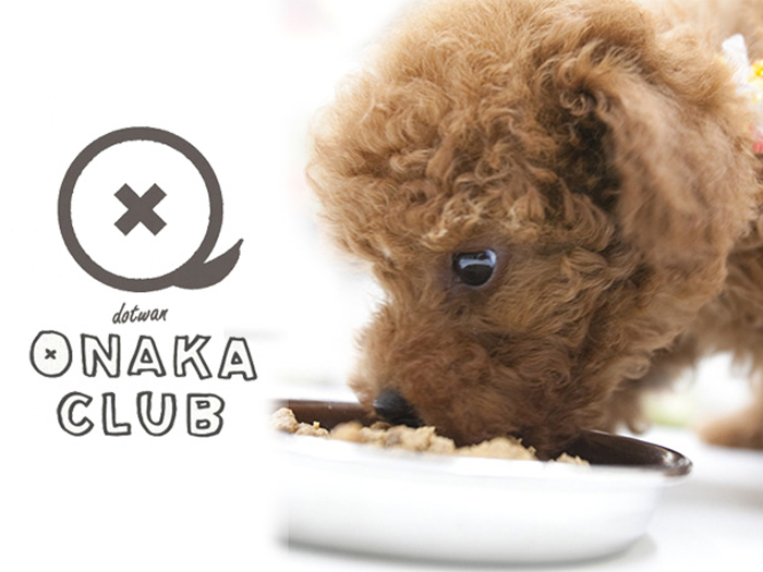 【定期】おなかクラブ