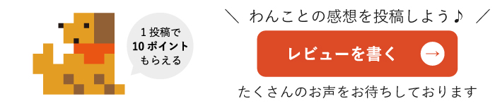 ドットわんごはん-Red mind-(3kg)｜自然食ドッグフードの通販｜ドット