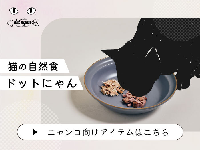 ドットにゃん