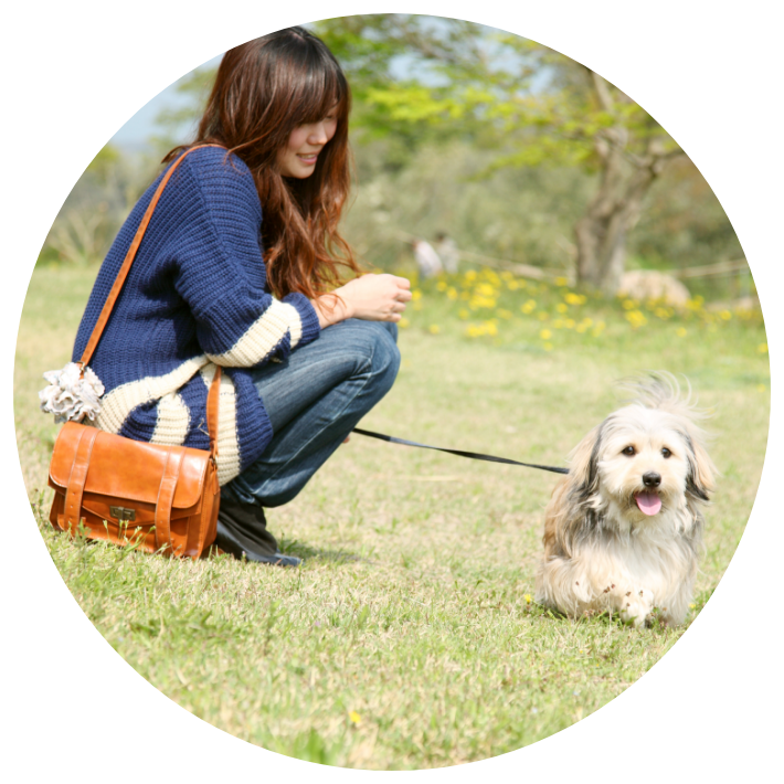 “お客様のお声01