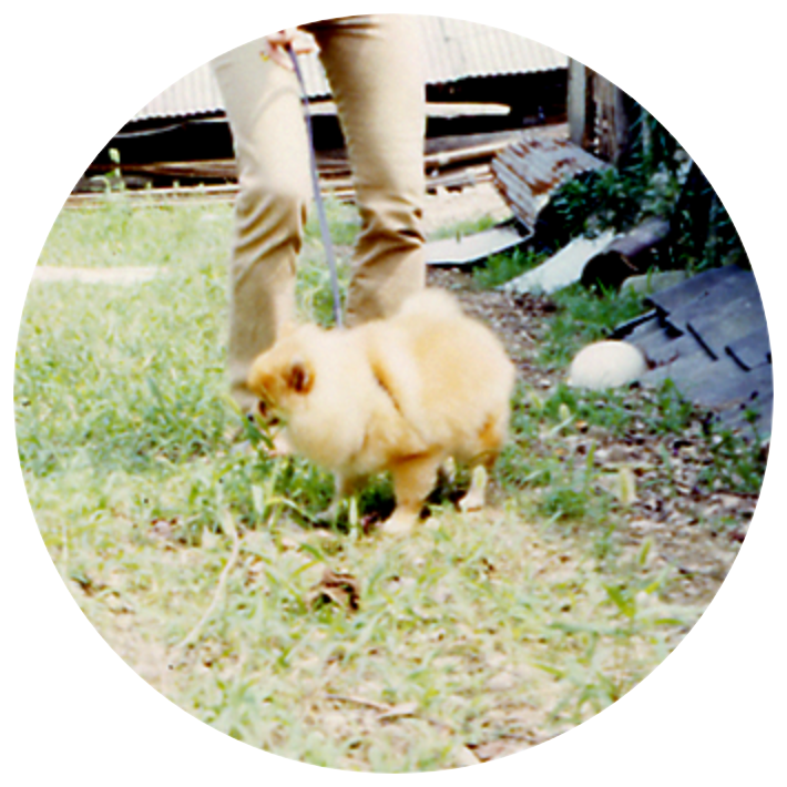 “お客様のお声03