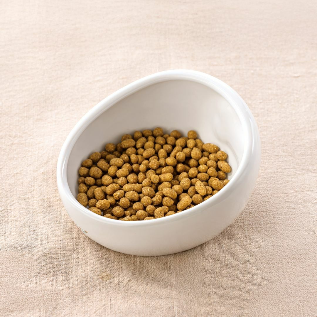 鶏ごはん3kgパック｜自然食ドッグフードのドットわん｜公式通販サイト