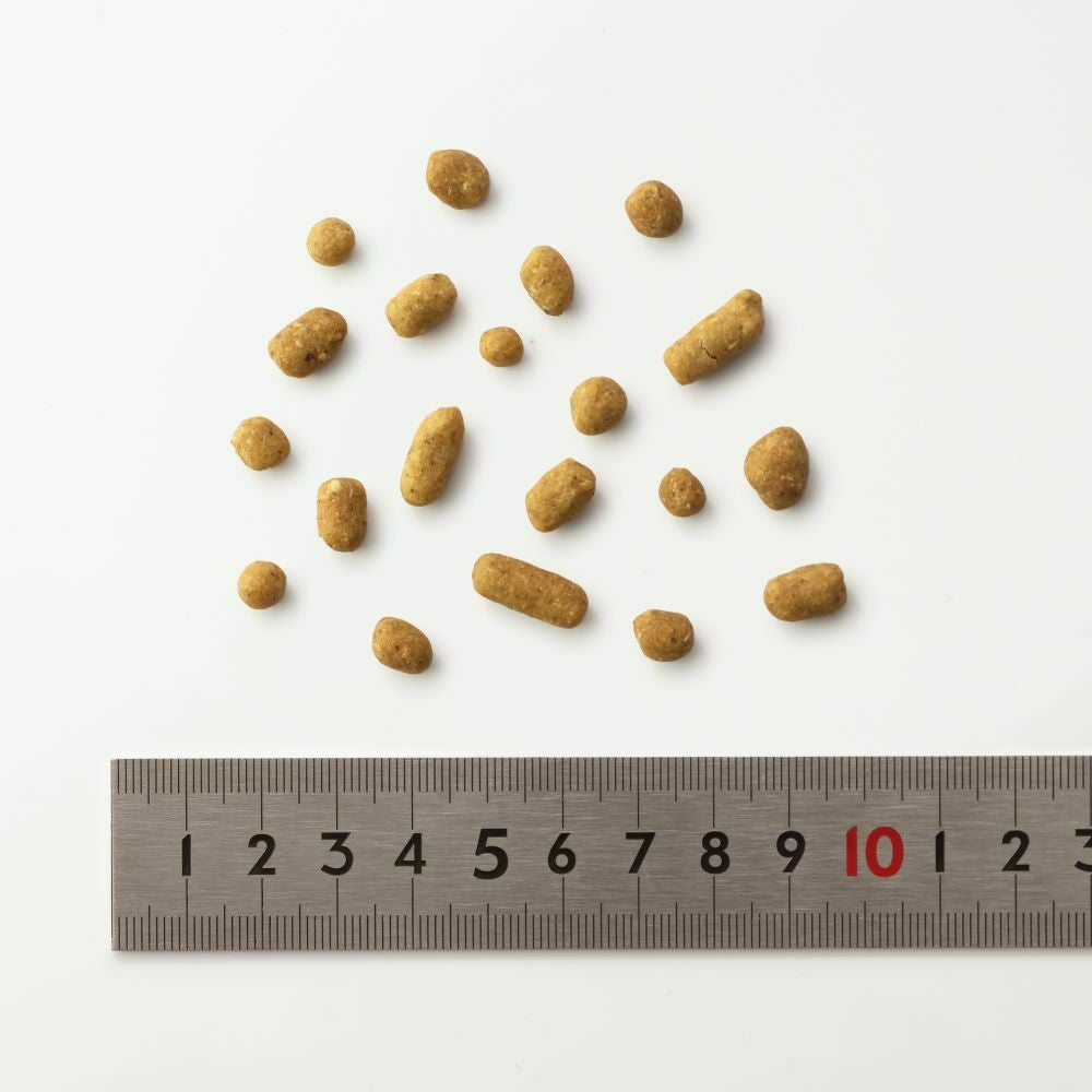 鶏ごはん3kgパック｜自然食ドッグフードのドットわん｜公式通販サイト