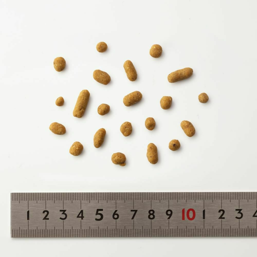 豚ごはん120g｜16種類の国産天然食材｜自然食ドッグフード｜ドットわん