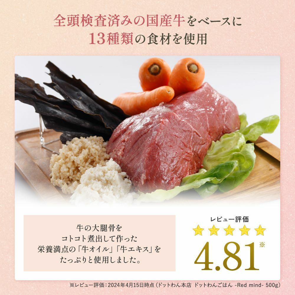 ドットわんごはん-Red mind-(120g)｜国産13種天然食材の総合栄養食