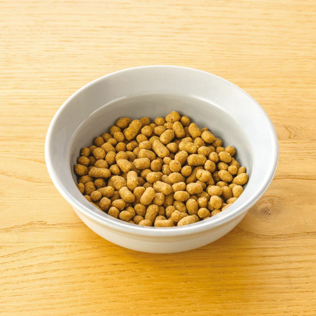 ドットわん　豚ごはん1kg✖️3袋セット ドットわん豚ごはん DTWNDPF0-00 | ドットワン | GREEN DOG & CAT