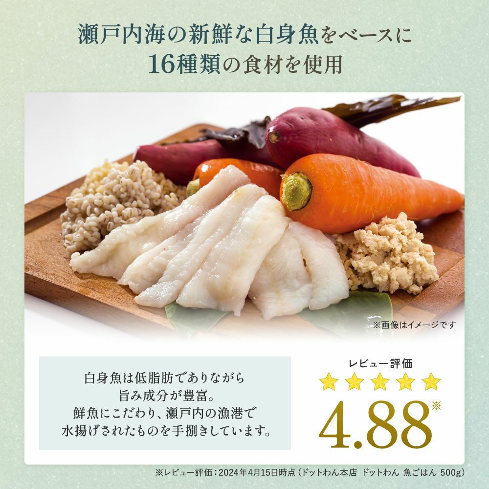 魚ごはん500g｜16種類の国産天然食材使用｜ドットわん公式
