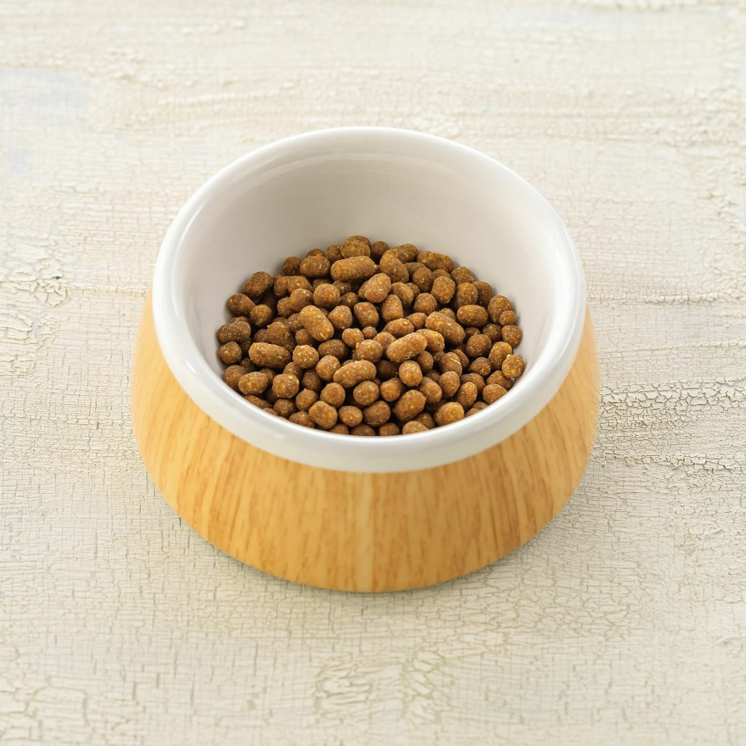 魚ごはん500g｜16種類の国産天然食材使用｜ドットわん公式