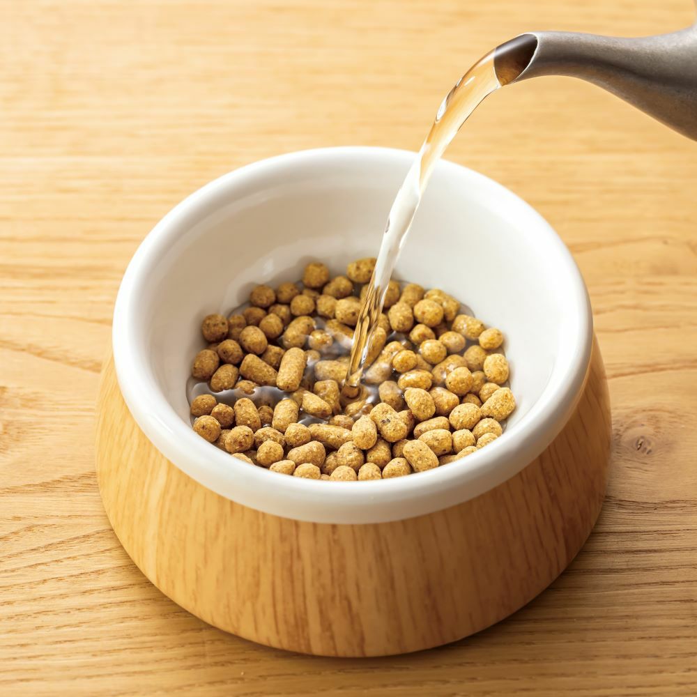 魚ごはん500g｜16種類の国産天然食材使用｜ドットわん公式