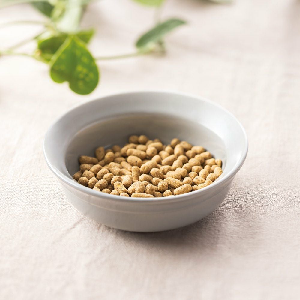 ドットわんの自然食ドッグフード｜4種セットでフードローテーションを