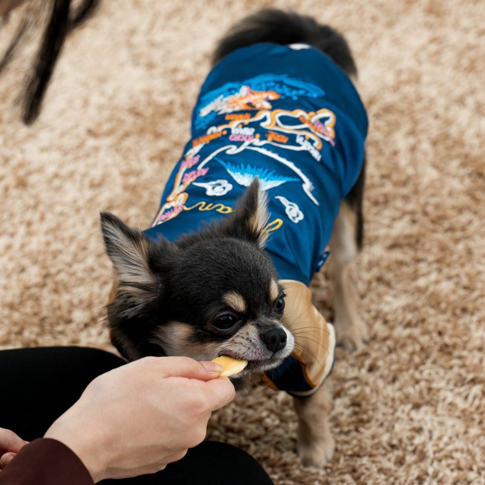 ドットわん 平飼いたまごせんべい (20g)の通販｜自然食ドッグフード