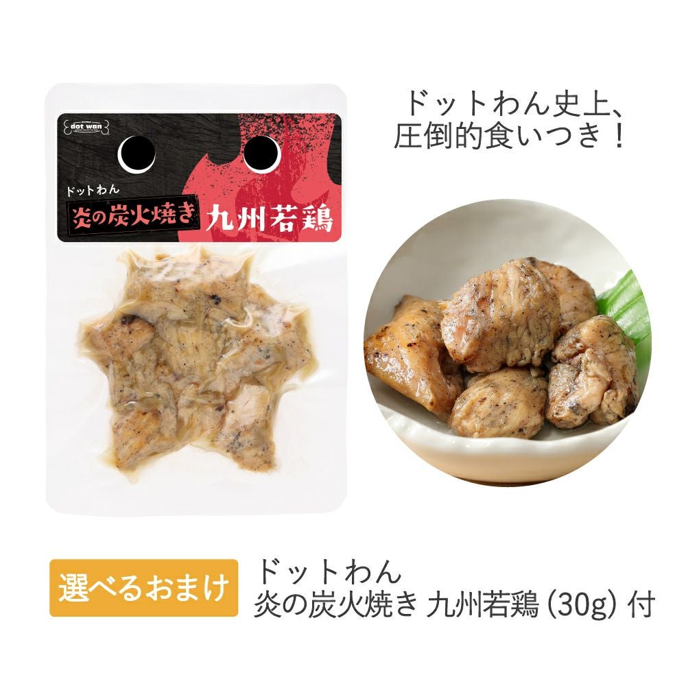 ドットわんごはん4種セット|国産天然食材のおまかせセット|ドットわん公式